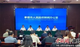 孝感爆料新闻最新消息,突发事件引发社会关注