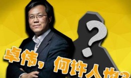 最新爆料娱乐圈卓伟简介,娱乐圈风云再起，揭秘明星幕后真相