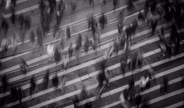 网易新春爆料最新消息,揭秘2024年科技、娱乐、财经热点前瞻