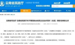 广南新闻爆料最新消息,最新爆料揭示惊人内幕，事件进展追踪！