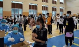 横栏最新爆料消息新闻报道,揭秘事件背后惊人真相